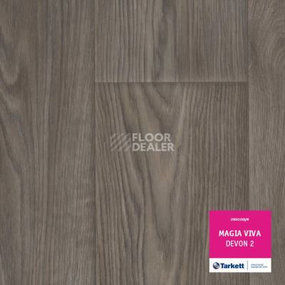 Линолеум Tarkett Magia Viva DEVON 2 фото 1 | FLOORDEALER